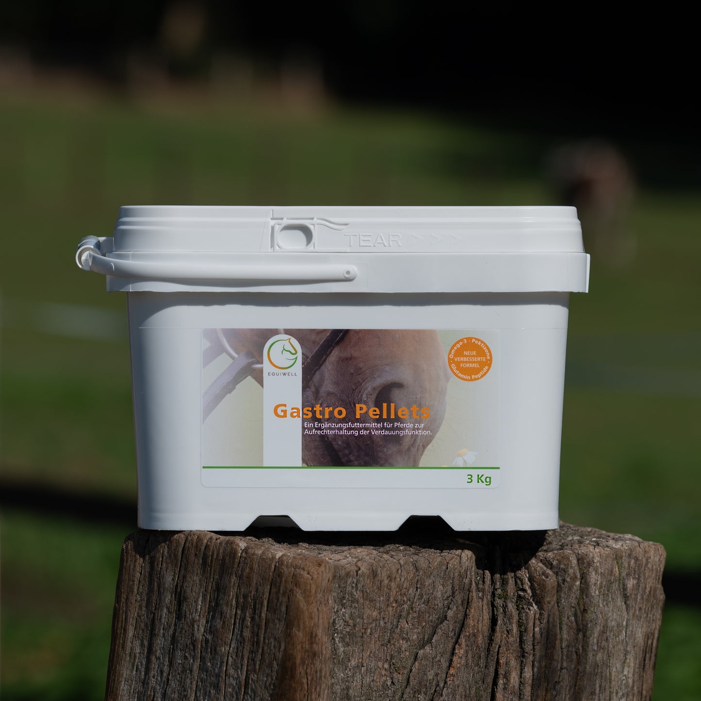 EQUIWELL Gastro Pellets