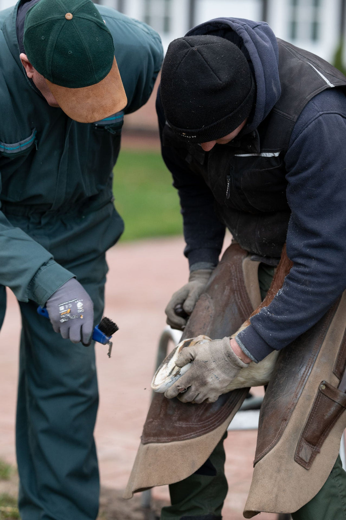 Mauke und Strahlfäule verstehen, früh erkennen und sinnvoll bekämpfen