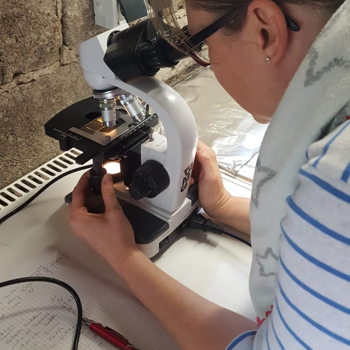 Entwurmung und Parasitenbekämpfung