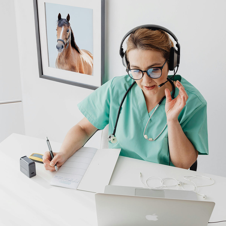 Individuelle Online-Beratung vom Tierarzt