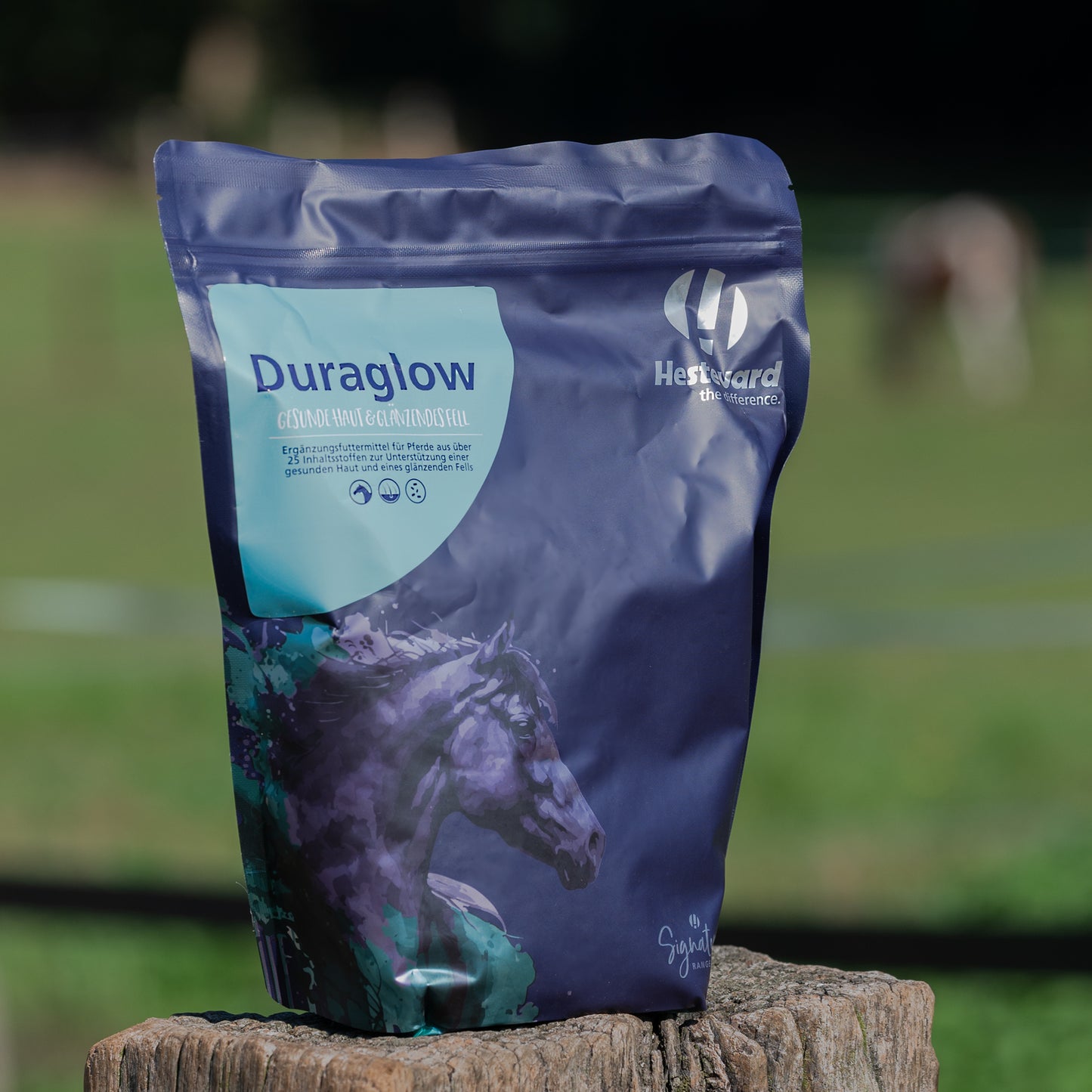 HESTEVARD Duraglow
