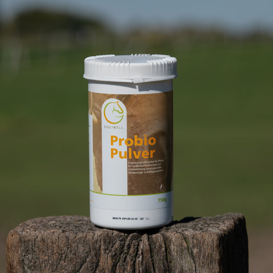 EQUIWELL Probio Pulver