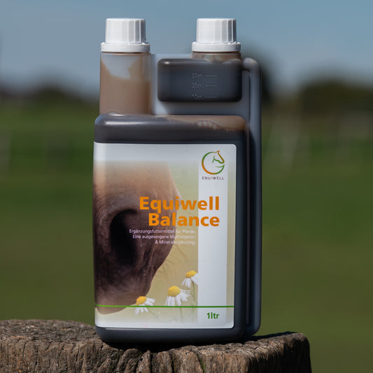 EQUIWELL Balance