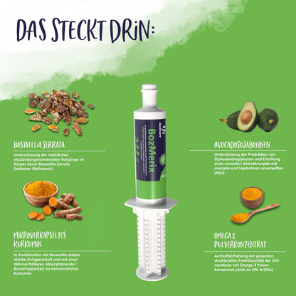 HESTEVARD BozMerix Paste