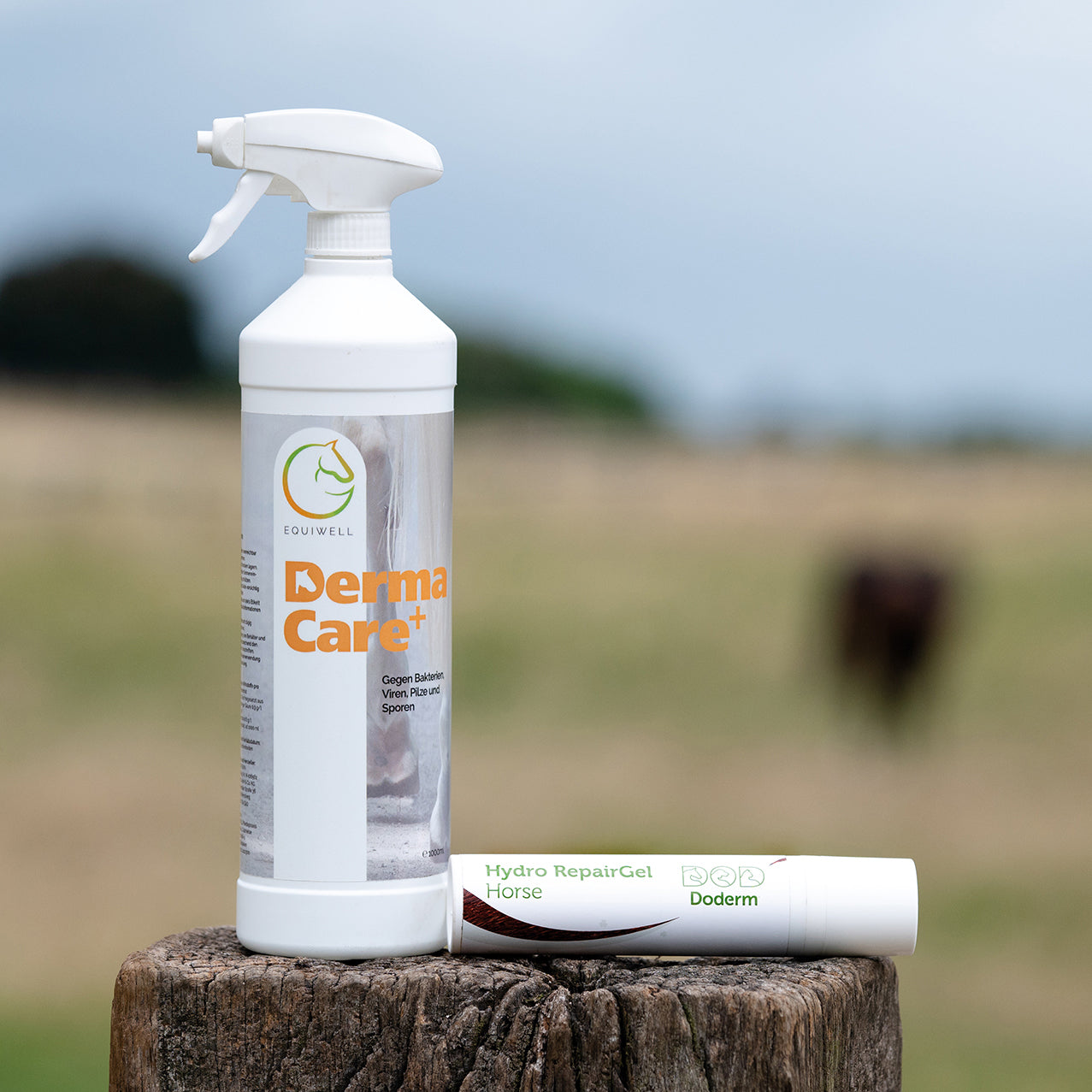 EQUIWELL Mauke & Strahlfäule Paket - die do-it-yourself Version!