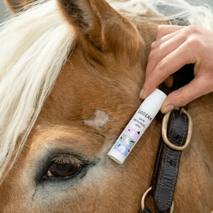DODERM Skin RepairGel Horse