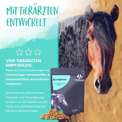 HESTEVARD Duraglow