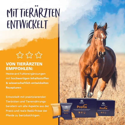 HESTEVARD Profix+BIND